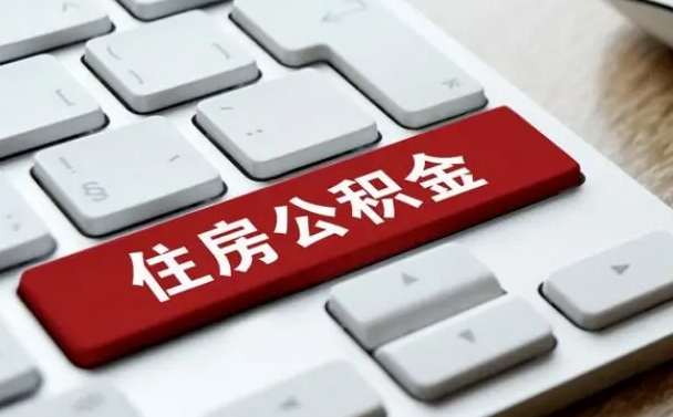 淄博公积金黄牛提取一般几个点（欠了很多网贷想用公积金还）